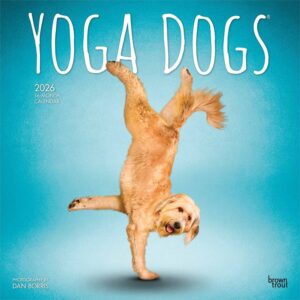 Yoga Dogs Calendar 2026