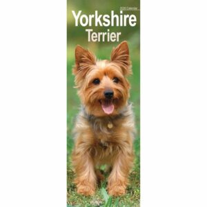 Yorkshire Terrier Slim Calendar 2026