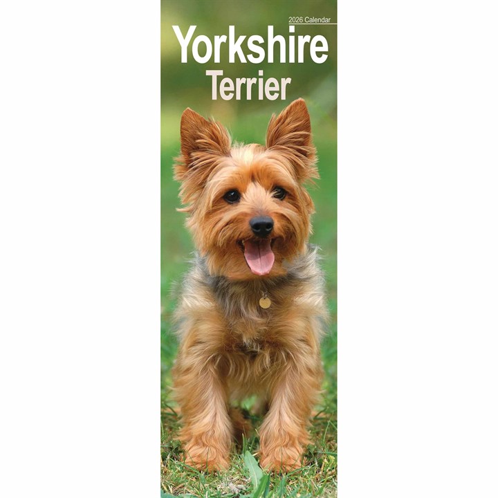 Yorkshire Terrier Slim Calendar 2026