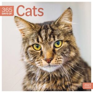 365 Days Of Cats Calendar 2027