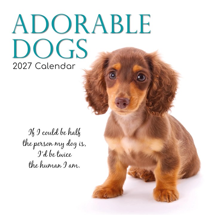 Adorable Dogs Calendar 2027