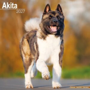 Akita Calendar 2027