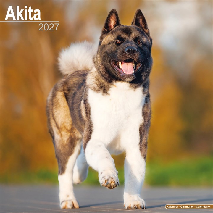 Akita Calendar 2027