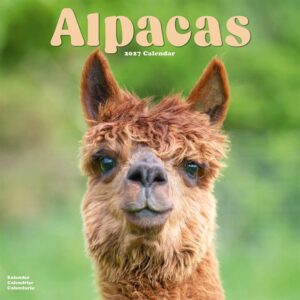 Alpacas Calendar 2027