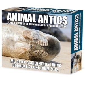 Animal Antics Desk Calendar 2027
