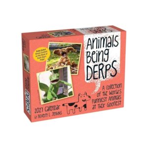 Animals Being Derps Desk Calendar 2027