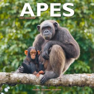 Apes Calendar 2027
