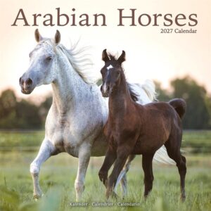Arabian Horses Calendar 2027