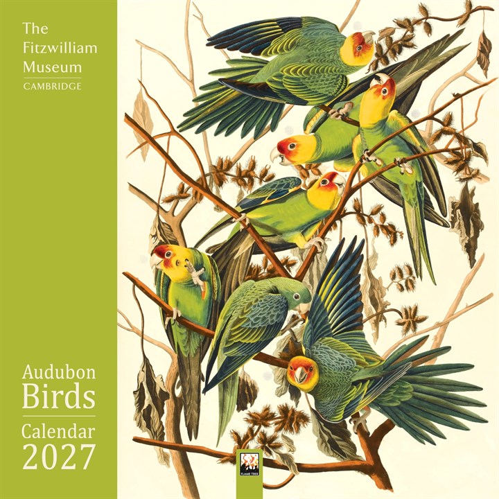 Audubon Birds