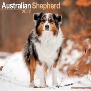 Australian Shepherd Calendar 2027