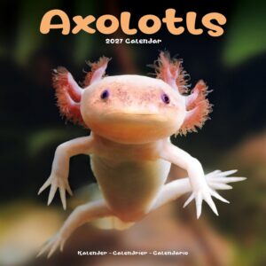 Axolotls Calendar 2027