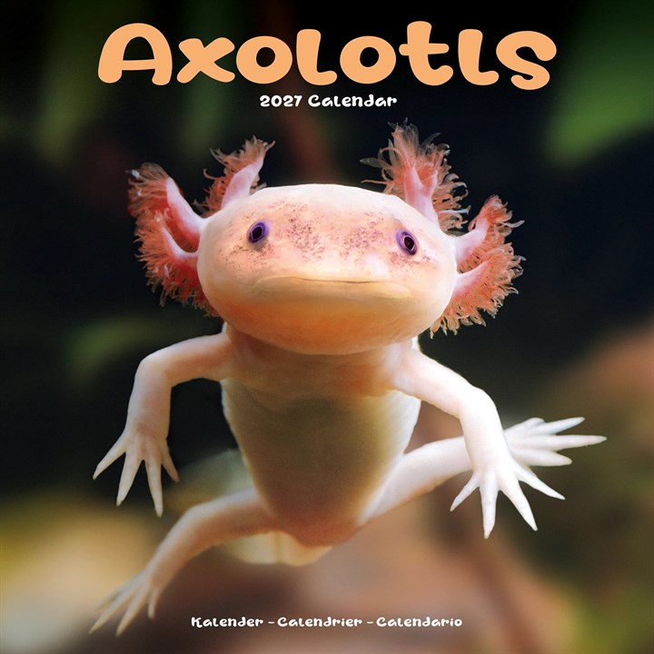 Axolotls Calendar 2027