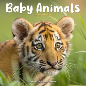 Baby Animals Calendar 2027