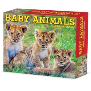 Baby Animals Desk Calendar 2027