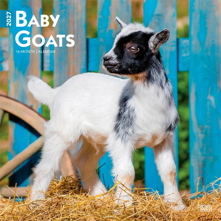 Baby Goats Calendar 2027