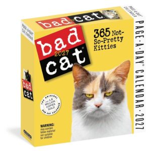 Bad Cat Desk Calendar 2027