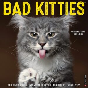 Bad Kitties Calendar 2027