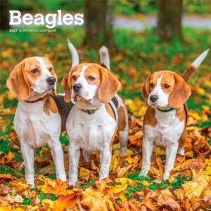 Beagles Calendar 2027