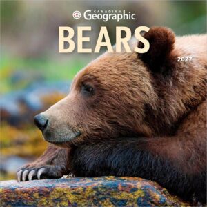 Bears Calendar 2027