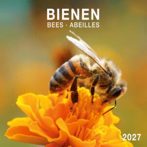 Bees Calendar 2027