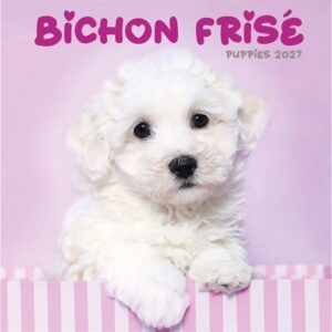 Bichon Frisé Puppies Mini Calendar 2027