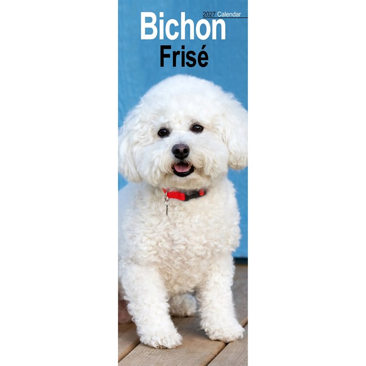 Bichon Frisé Slim Calendar 2027