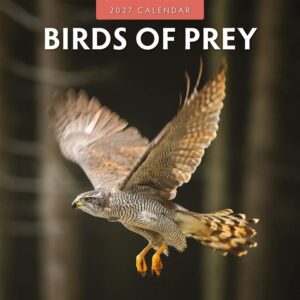 Birds of Prey Calendar 2027