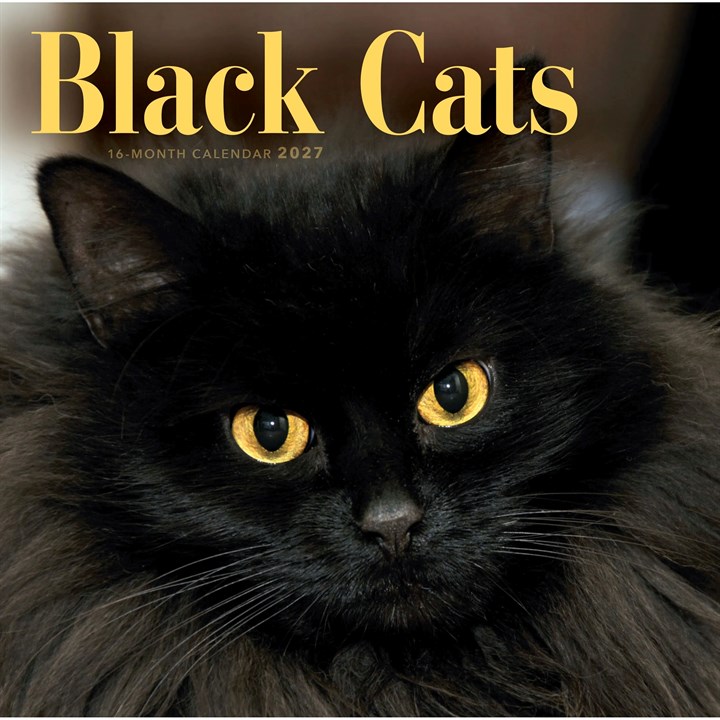 Black Cats Calendar 2027
