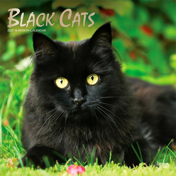 Black Cats Calendar 2027