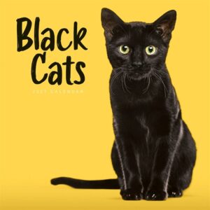 Black Cats Calendar 2027
