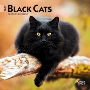 Black Cats Mini Calendar 2027