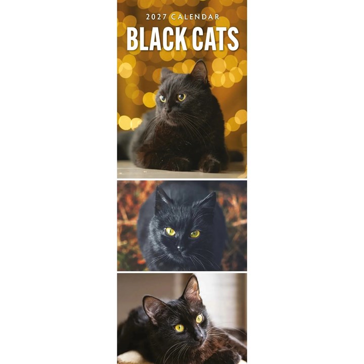 Black Cats Slim Calendar 2027