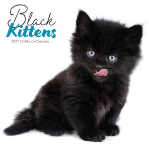 Black Kittens Calendar 2027