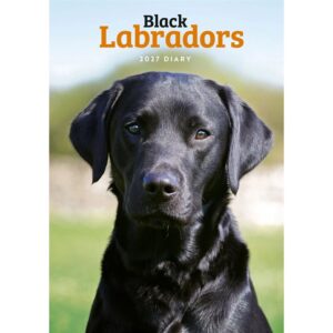 Black Labradors A5 Diary 2027