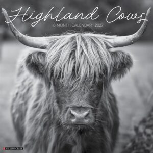 Black & White Highland Cows Calendar 2027