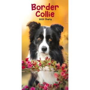 Border Collies Slim Diary 2027
