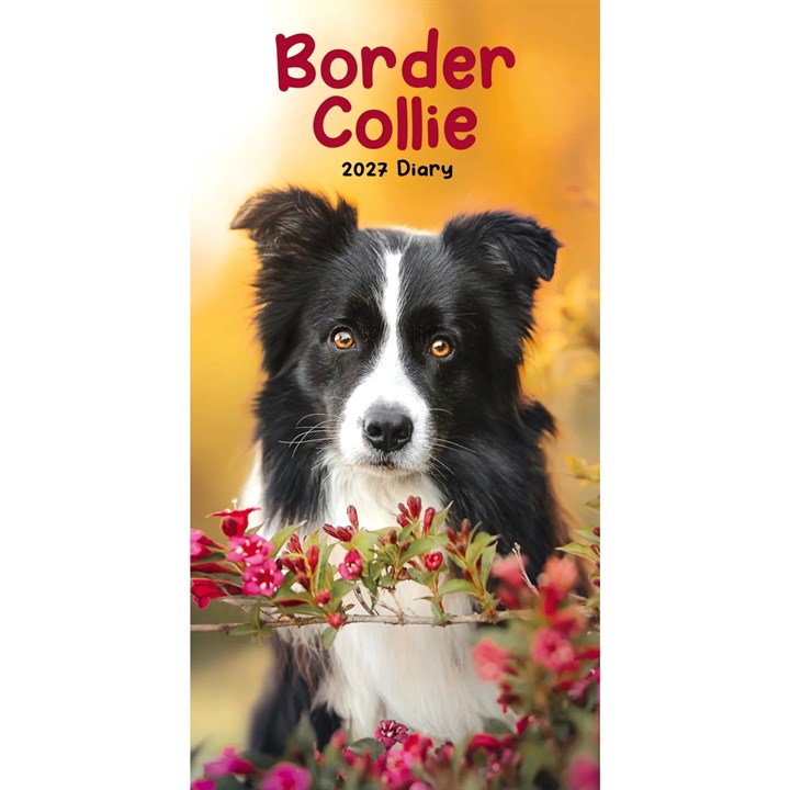 Border Collies Slim Diary 2027