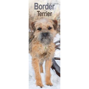Border Terrier Slim Calendar 2027
