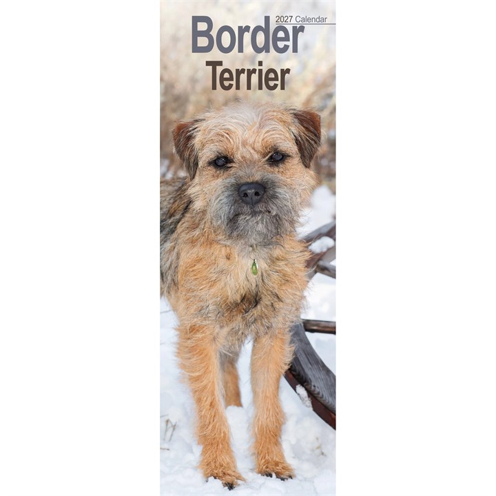 Border Terrier Slim Calendar 2027