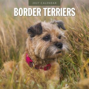 Border Terriers Calendar 2027