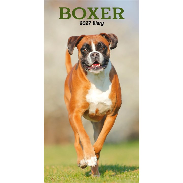 Boxer Slim Diary 2027