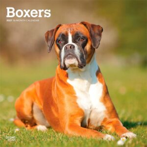 Boxers Calendar 2027