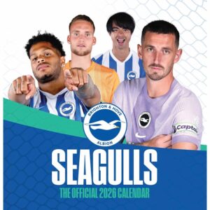Brighton & Hove Albion FC Easel Desk Calendar 2026