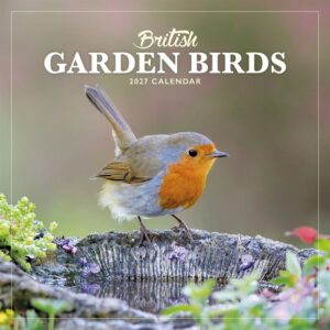 British Garden Birds Mini Calendar 2027