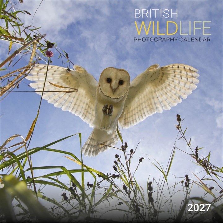 British Wildlife Photography Calendar 2027