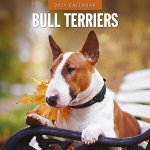 Bull Terriers Calendar 2027