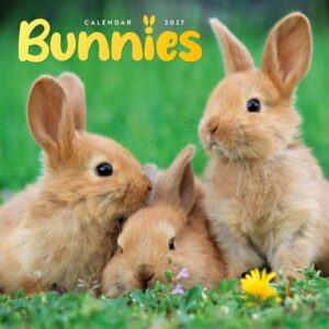 Bunnies Mini Calendar 2027