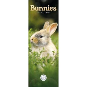 Bunnies Slim Calendar 2027