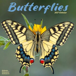 Butterflies Calendar 2027
