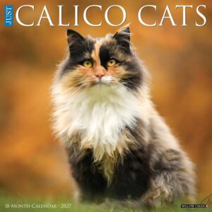 Calico Cats Calendar 2027